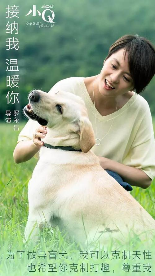 做假南达科他州